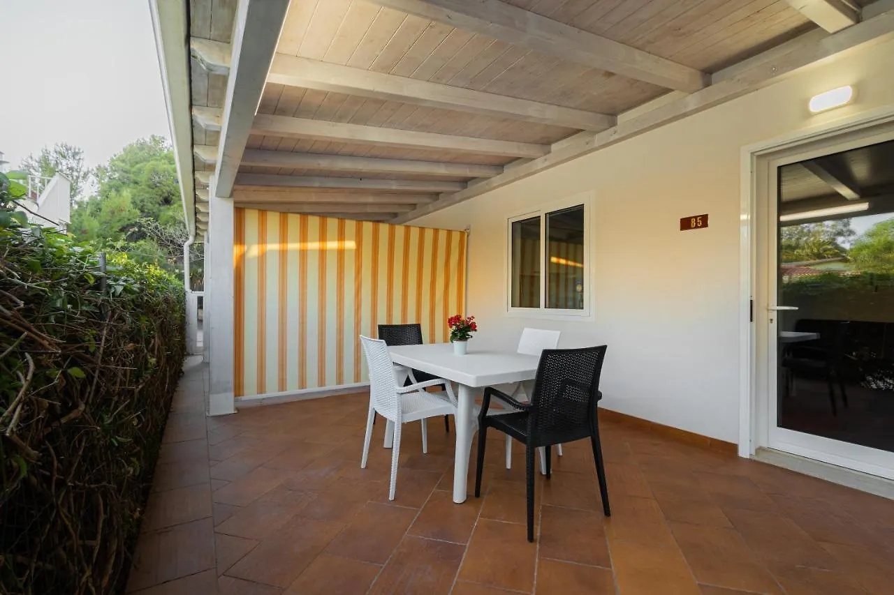 Casammare contacts